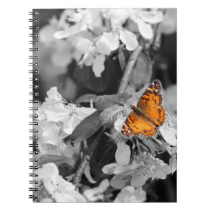 Cuaderno Bloc de notas de espiral de mariposa de dama estad