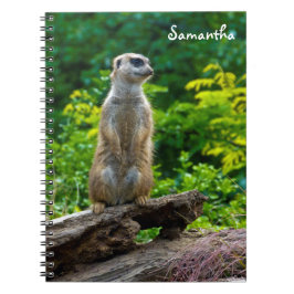 Cuaderno bloc de notas de espiral de Meerkat