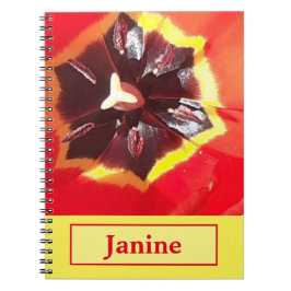 Cuaderno Bloc de notas de espiral de tulipano rojo escarlat
