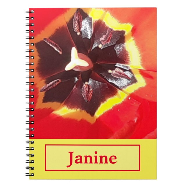 Cuaderno Bloc de notas de espiral de tulipano rojo escarlat (Frente)