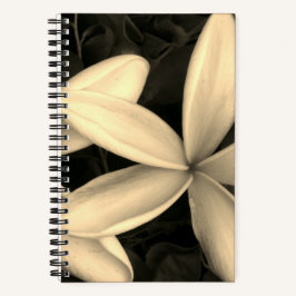 Cuaderno Bloc de notas de espiral fotográfica Sepia Hawaiia