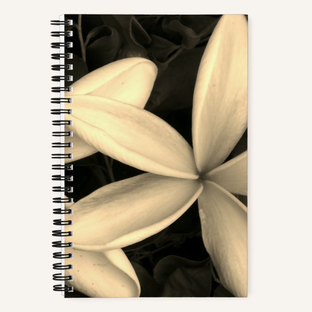 Cuaderno Bloc de notas de espiral fotográfica Sepia Hawaiia (Anverso)
