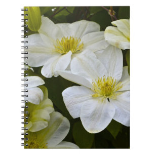 Cuaderno Bloc de notas de flores