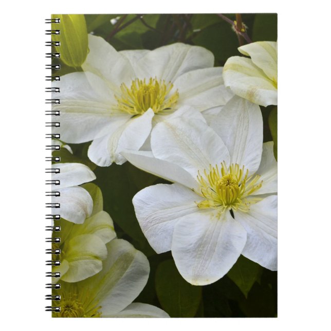 Cuaderno Bloc de notas de flores (Frente)