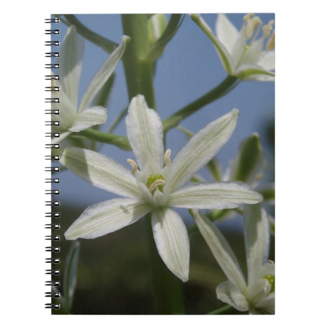 Cuaderno Bloc de notas de flores blancas (Frente)
