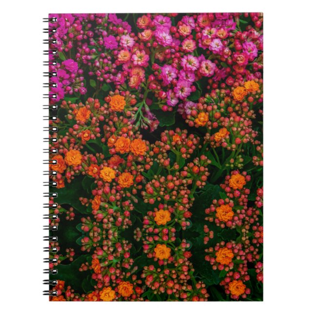 Cuaderno Bloc de notas de flores coloridas (Frente)
