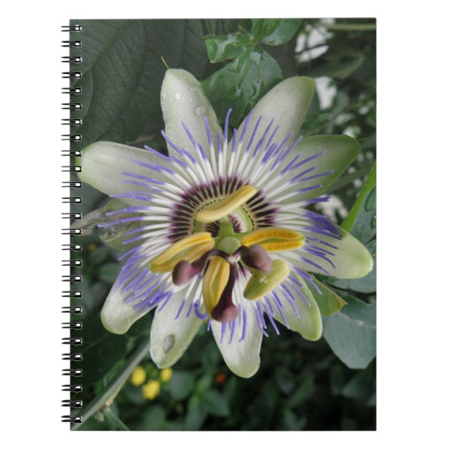 Cuaderno Bloc de notas de flores de pasión (Frente)