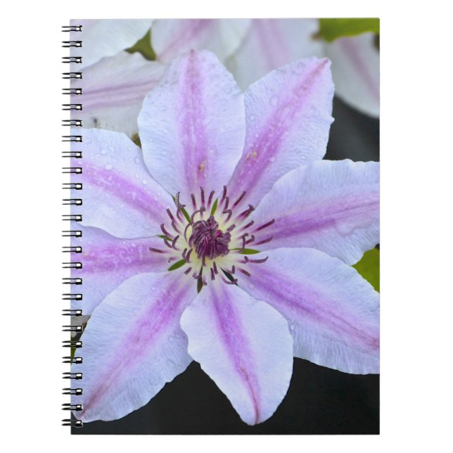 Cuaderno Bloc de notas de flores de pasión (Frente)