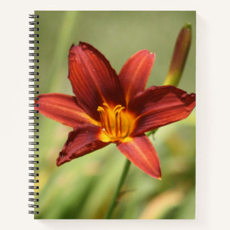 Cuaderno Bloc de notas de flores Red Daylily