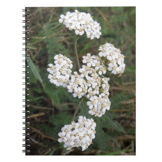 Cuaderno Bloc de notas de flores silvestres blancas (Frente)