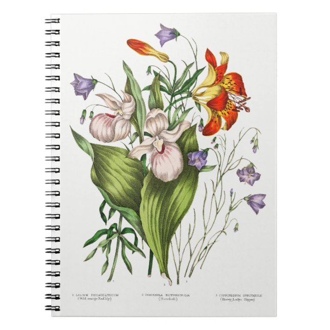 Cuaderno Bloc de notas de flores silvestres de época (Frente)