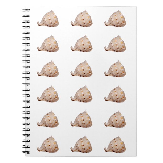 Cuaderno Bloc de notas de foto de conch Shell (Frente)