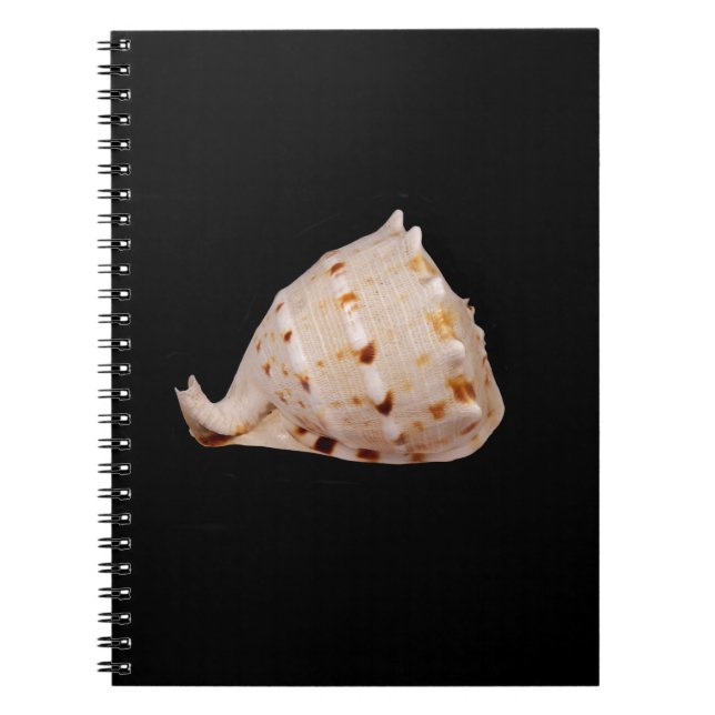 Cuaderno Bloc de notas de foto de conch Shell (Frente)
