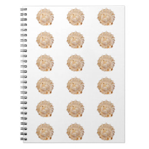 Cuaderno Bloc de notas de foto de conch Shell