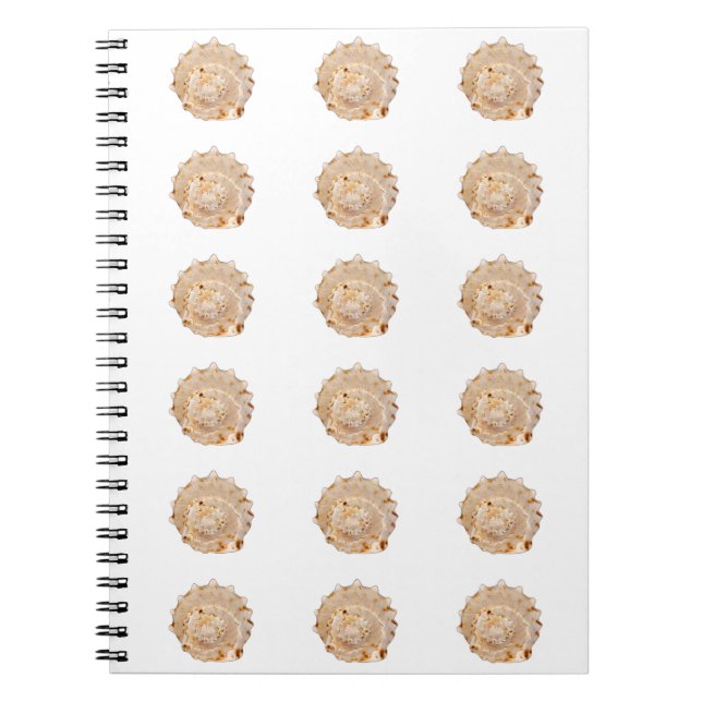 Cuaderno Bloc de notas de foto de conch Shell (Frente)