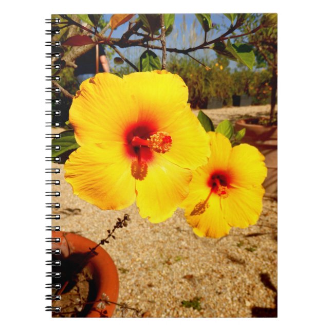 Cuaderno Bloc de notas de fotos amarillo de Hibiscus (Frente)