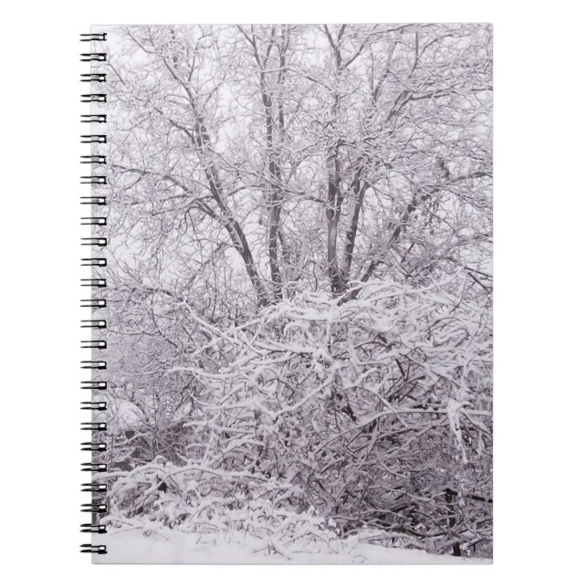 Cuaderno Bloc de notas de fotos de escenas nevadas (Frente)