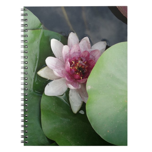Cuaderno Bloc de notas de fotos de flores de Lotus (Frente)