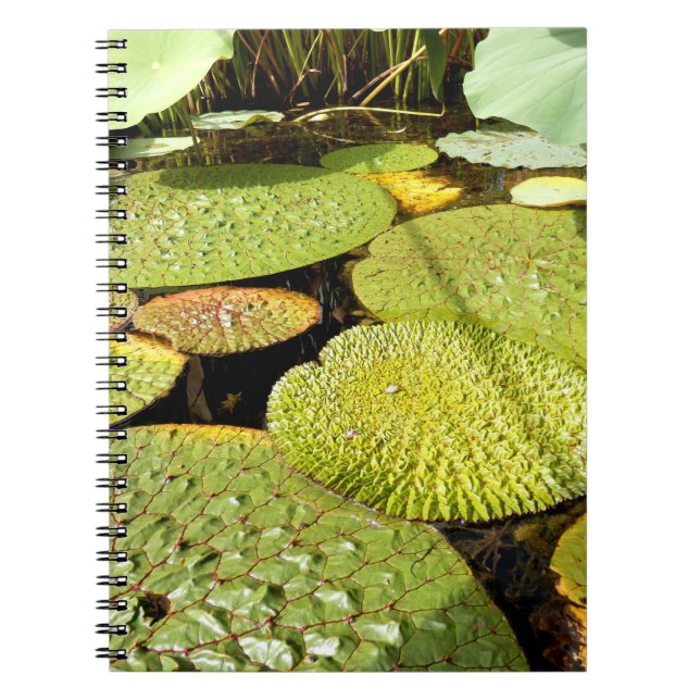 Cuaderno bloc de notas de fotos de Lily Pads (Frente)