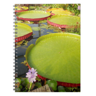 Cuaderno bloc de notas de fotos de Lily Pads