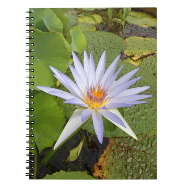 Cuaderno Bloc de notas de fotos de Lily Water (Frente)