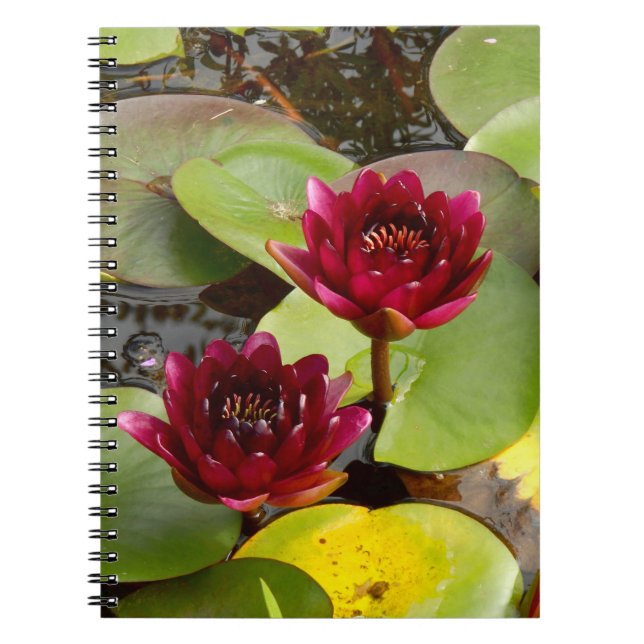 Cuaderno Bloc de notas de fotos de Lily Water (Frente)