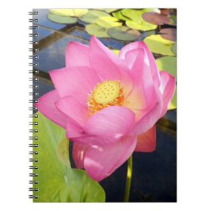 Cuaderno Bloc de notas de fotos de Lily Water