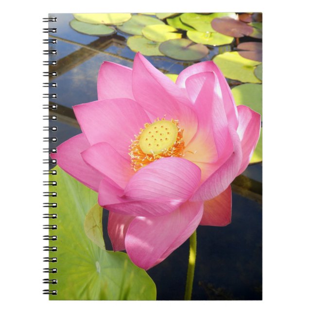 Cuaderno Bloc de notas de fotos de Lily Water (Frente)