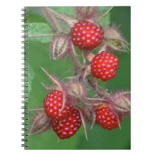 Cuaderno Bloc de notas de frambuesa
