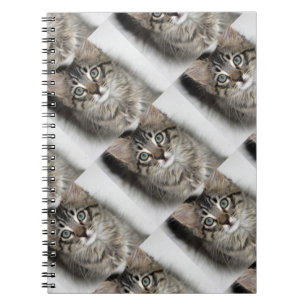 Cuaderno Bloc de notas de gatito