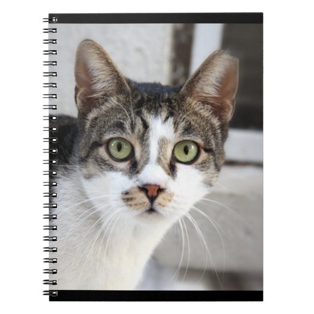 Cuaderno Bloc de notas de gato (Frente)