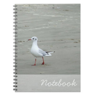 Cuaderno Bloc de notas de gaviotas
