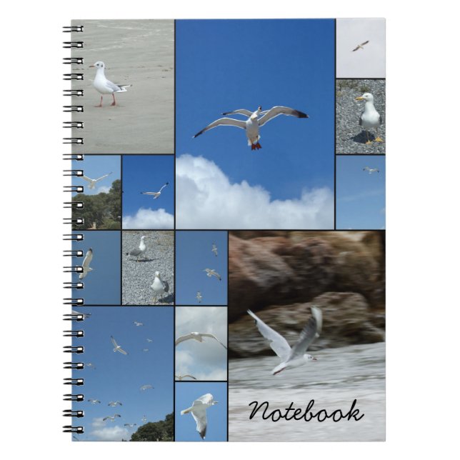 Cuaderno Bloc de notas de gaviotas (Frente)