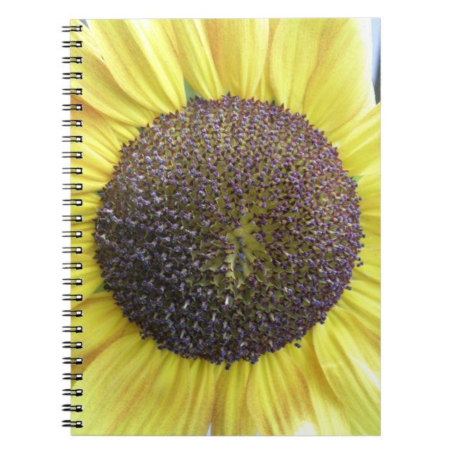 Cuaderno Bloc de notas de girasol amarillo (Frente)