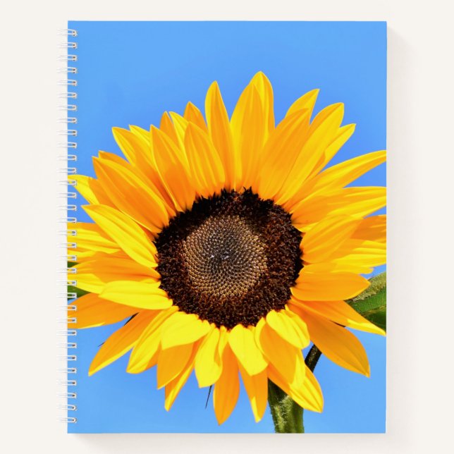 Cuaderno Bloc de notas de girasol amarillo (Anverso)