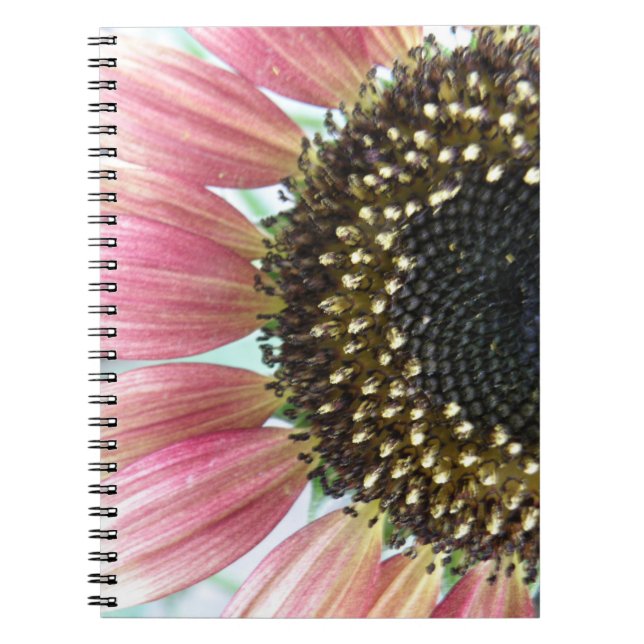 Cuaderno Bloc de notas de girasol rosa (Frente)