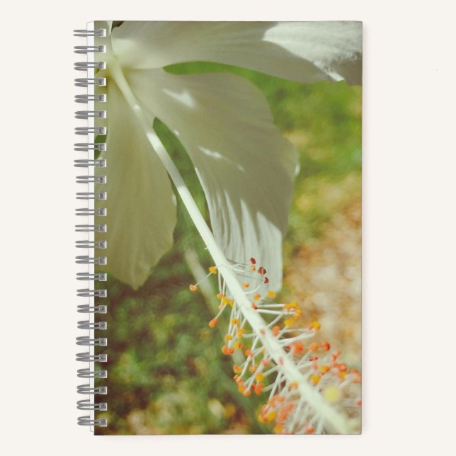 Cuaderno Bloc de notas de Hibiscus blanco de invierno (Anverso)