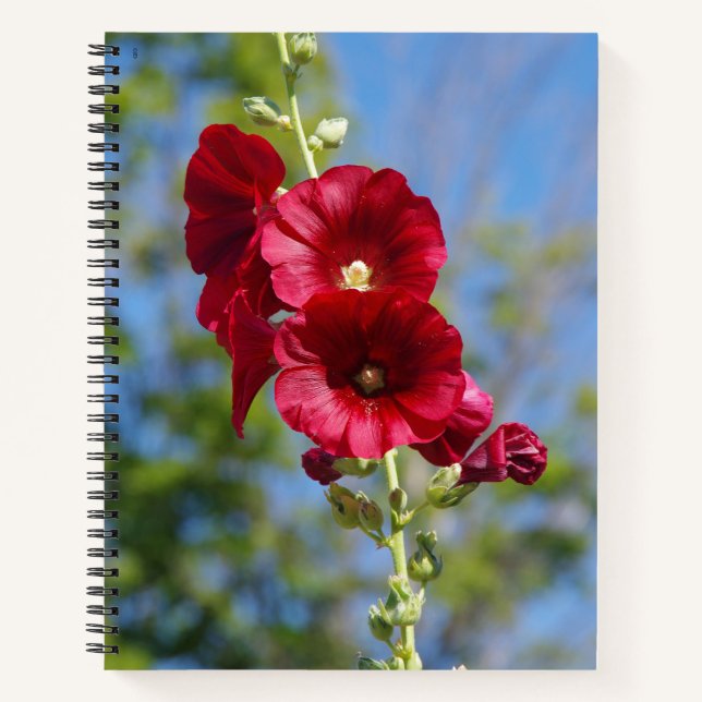 Cuaderno bloc de notas de Hollyhocks (Anverso)