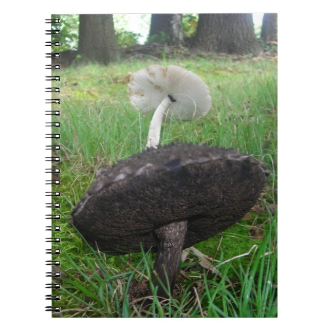 Cuaderno Bloc de notas de Hongos de Ebony e Marfil (Frente)