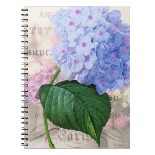 Cuaderno Bloc de notas de Hydrangea Rosa Redoute