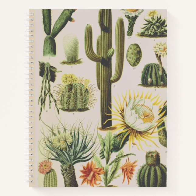 Cuaderno Bloc de notas de Ilustracion de Cactus Botánico Vi (Anverso)