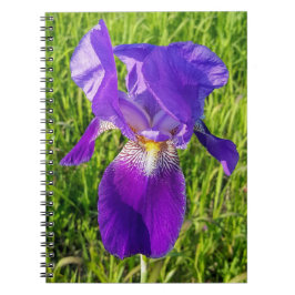 Cuaderno Bloc de notas de iris morado