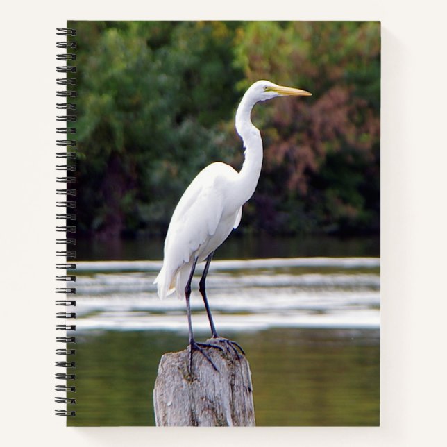 Cuaderno bloc de notas de la grúa blanca (Anverso)