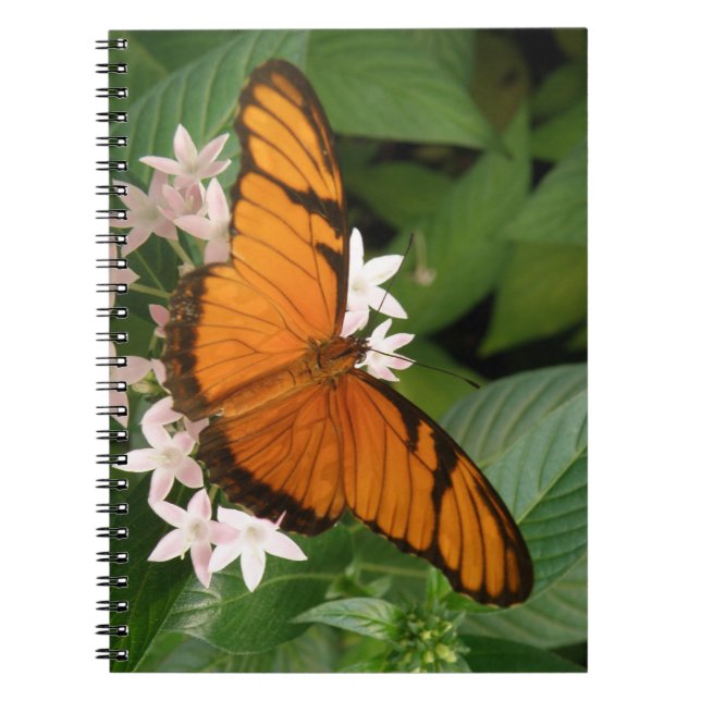 Cuaderno Bloc de notas de la naranja Julia Butterfly (Frente)