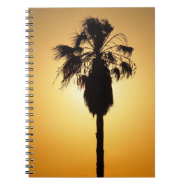 Cuaderno bloc de notas de la silueta de la palma de ventila