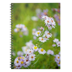 Cuaderno Bloc de notas de línea de belleza