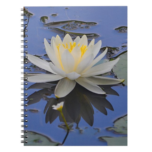 Cuaderno Bloc de notas de lirio de agua (Frente)