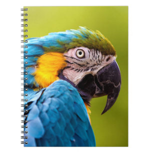 Cuaderno Bloc de notas de loros