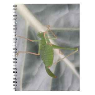 Cuaderno Bloc de notas de macro sobre críquet verde