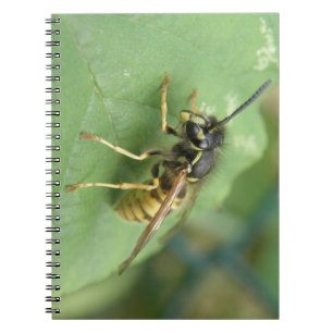 Cuaderno Bloc de notas de macros de sobrevuelo